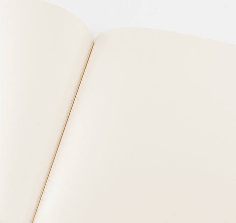 Journal Pedro