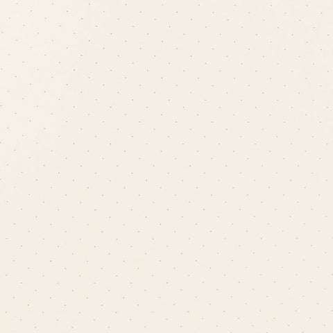 Papier Tigre Pacifique Notebook A5 Dot Grid 